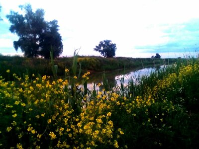 IMG_20160525_214218.jpg