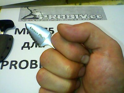 IMG0293A.jpg