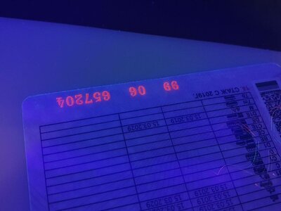 IMG_1386.jpeg