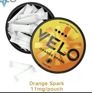 photo_2026-01-20 08.31.18.jpeg