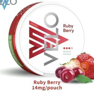 photo_2026-01-20 08.31.22.jpeg