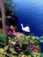 IMG_20161017_171120.jpg