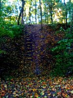IMG_20161017_171350.jpg