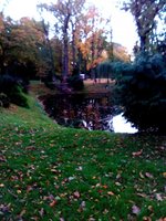 IMG_20161016_194932.jpg