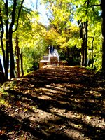 IMG_20161016_201248.jpg