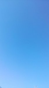 IMG_20170307_094243.jpg