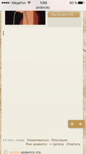 IMG_4611.PNG