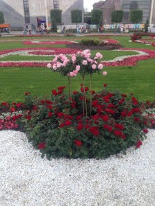 IMG_4709.JPG