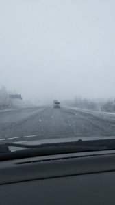 IMG_20180403_154606.jpg